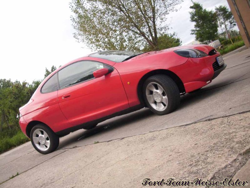 Markos roter Ford Puma